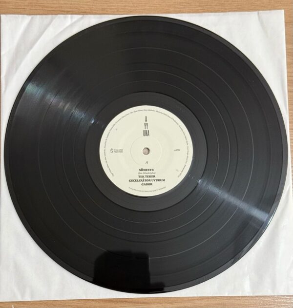 Ayyuka - Sömestr Plak - Görsel 3