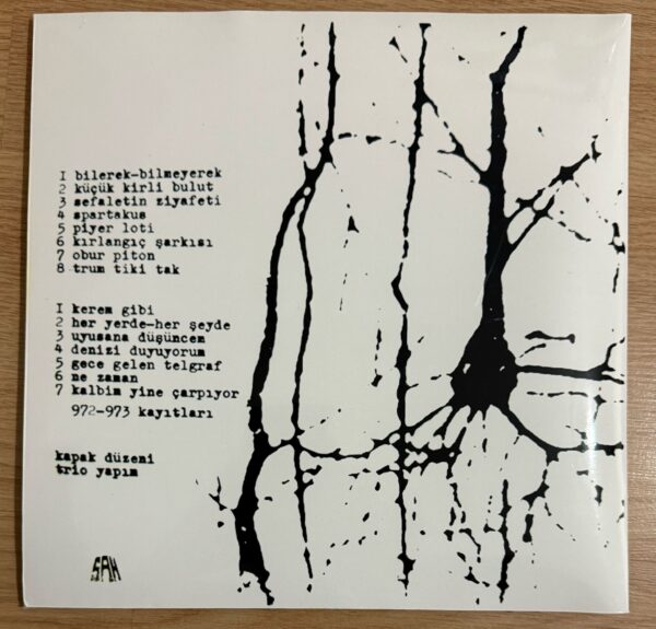 Fikret Kızılok Not Defterimden Plak - Görsel 4