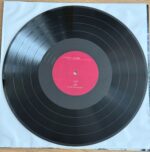 Şebnem Ferah –Artık Kısa Cümleler Kuruyorum Plak - Görsel 2