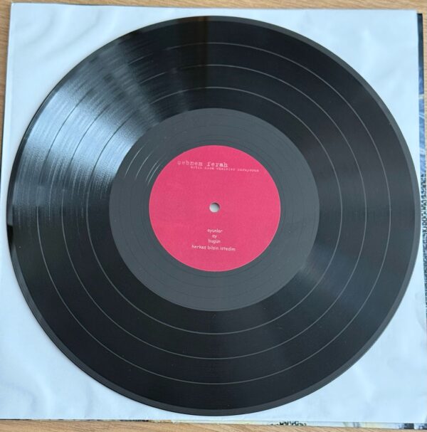 Şebnem Ferah –Artık Kısa Cümleler Kuruyorum Plak - Görsel 2