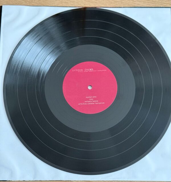 Şebnem Ferah –Artık Kısa Cümleler Kuruyorum Plak - Görsel 3