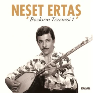 Neşet Ertaş: Bozkırın Tezenesi 1 - Plak