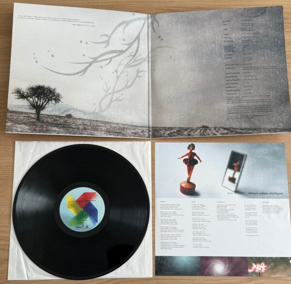 Mor Ve Ötesi – Dünya Yalan Söylüyor Plak - Görsel 5