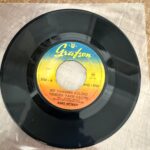 Zeki Müren – Bir Yangının Külünü Yeniden Yakıp Geçtin